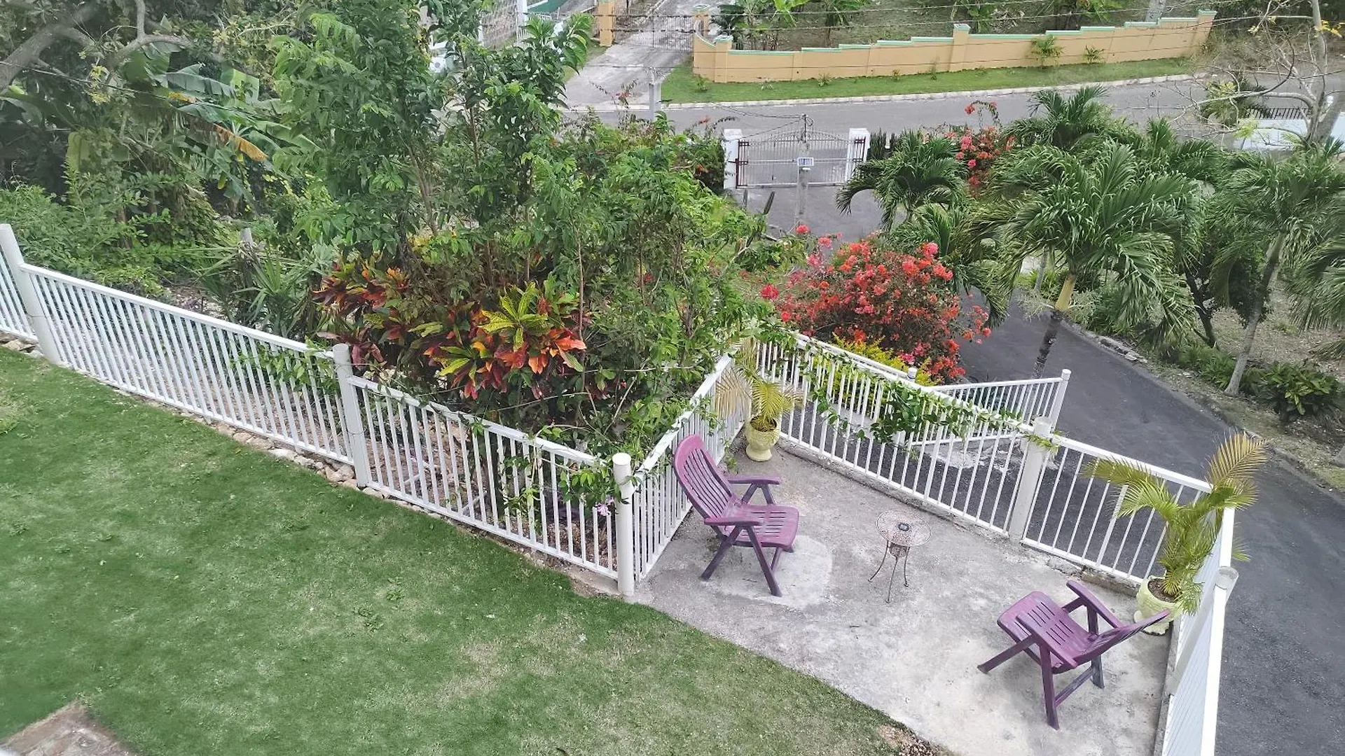 Destiny Palms Apt Belleair ジャマイカ